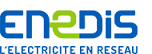 logo enedis.png