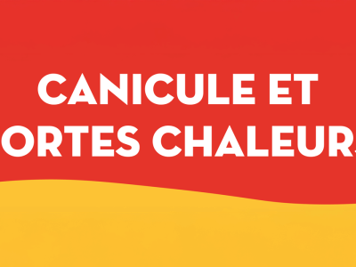 canicule.png