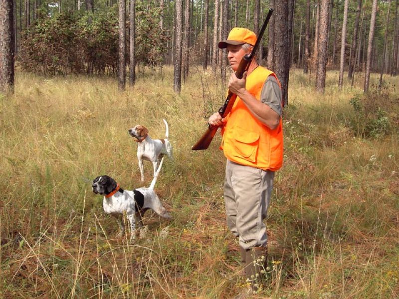 chasseur.jpg
